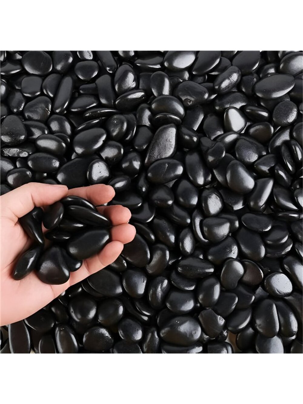 Black Pebbles for Plants 3lb Bulk Bag 1"- 1.5" Aquarium